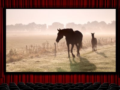 De bedste hestefilm nogensinde